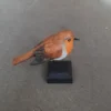 Rödhake
