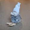 Tomte på skidor